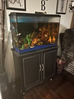 Fish Tank Fish And Accessories Are Included