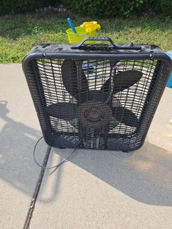 Fan
