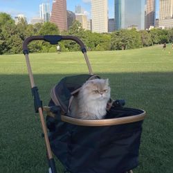 Pet Stroller 