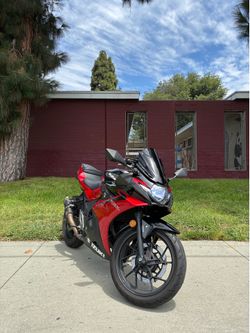 2023 Suzuki Gsx250r