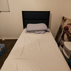 Twin Bed $20