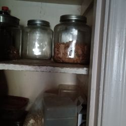 Each Glass Container 