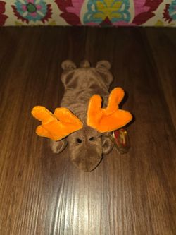 Ty Beanie Baby Moose Plush with Tag