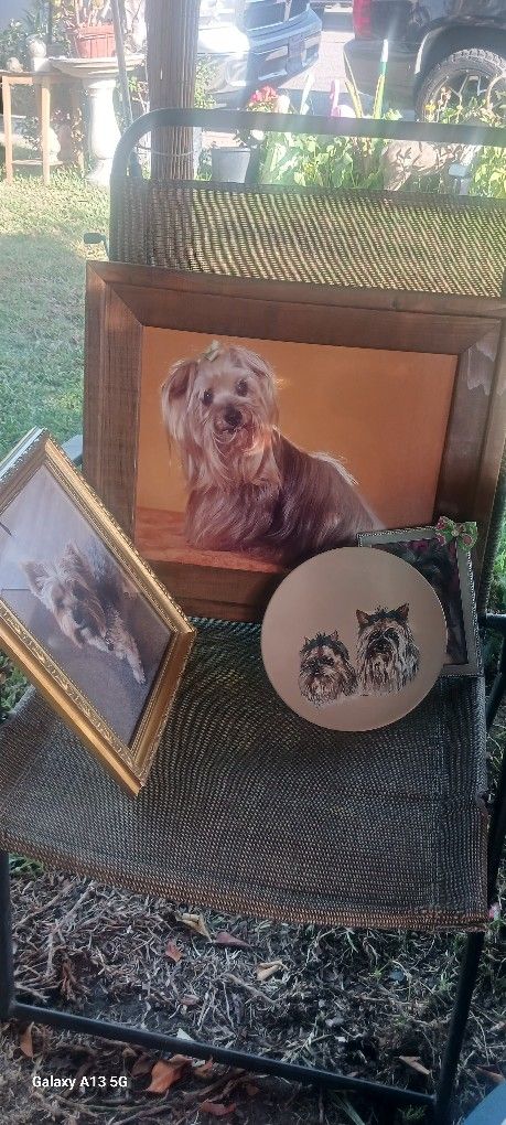 4 Pic $20