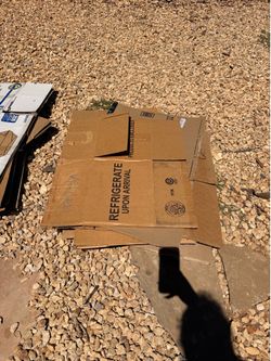 Moving Boxes