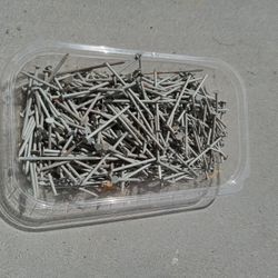 Galvanized Nails