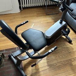 Sunny Exercise Bike