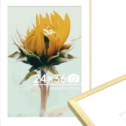 Gold Thin Aluminum 24 x 36 Picture Frame