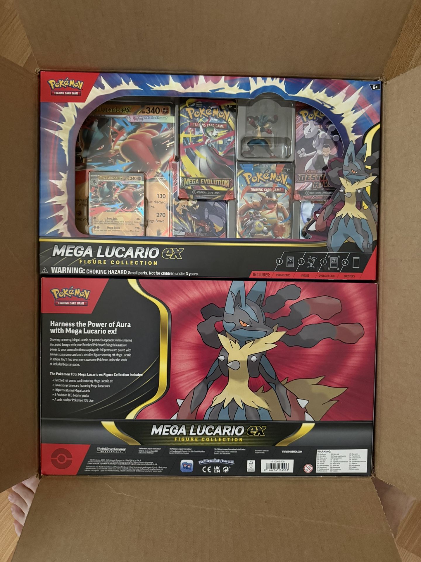Pokemon Mega Lucario Ex Figure Box