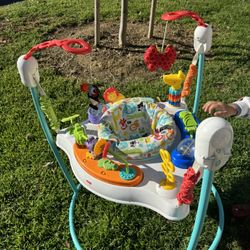 Fisher Price Activity Center