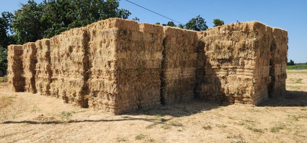 Hay Bales