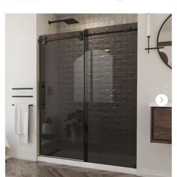 Frameless Shower Door