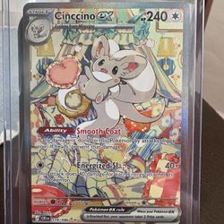 Cinccino ex 119/086 Me04: Chaos Rising Holo