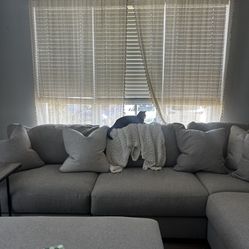 Ashley’s Sectional Couch 