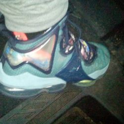 LeBron Shoes