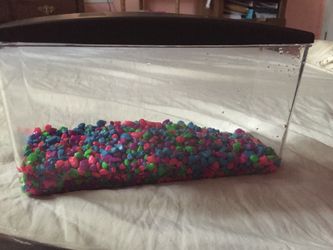 Fish tank