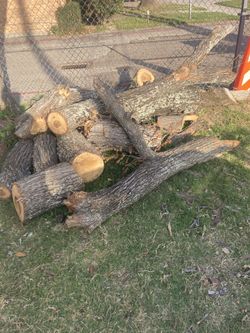 Free Woods