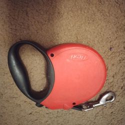 Retractable 16ft Leash