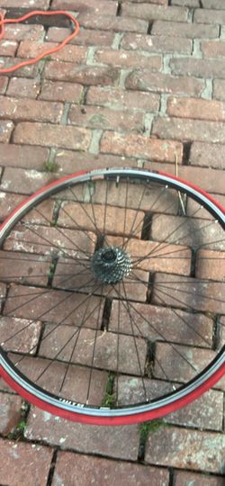 Back rim