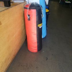Punching Bag 