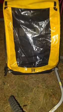 Burley bee bike trailer
