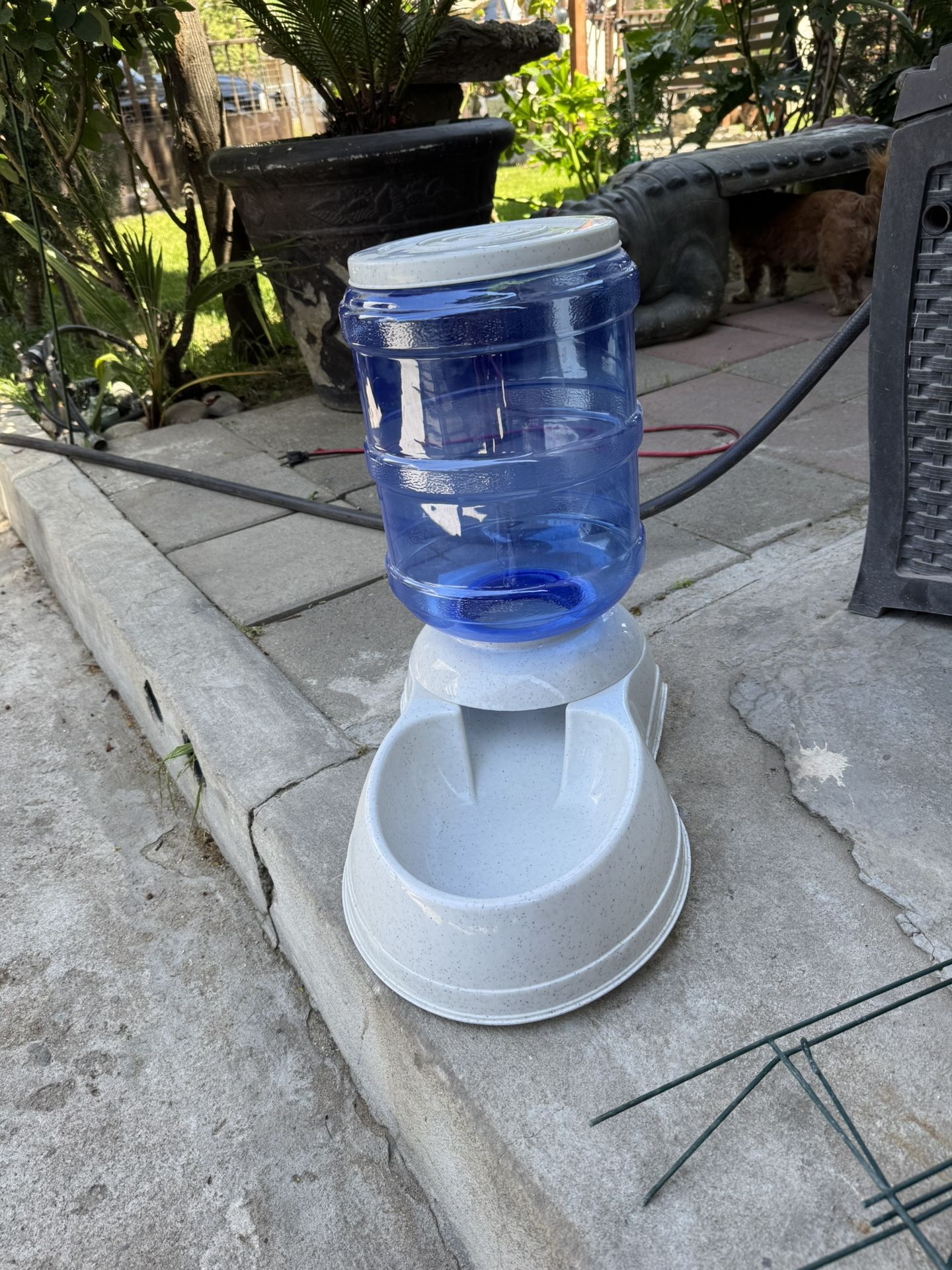 Big Pet Feeder/food Dispenser