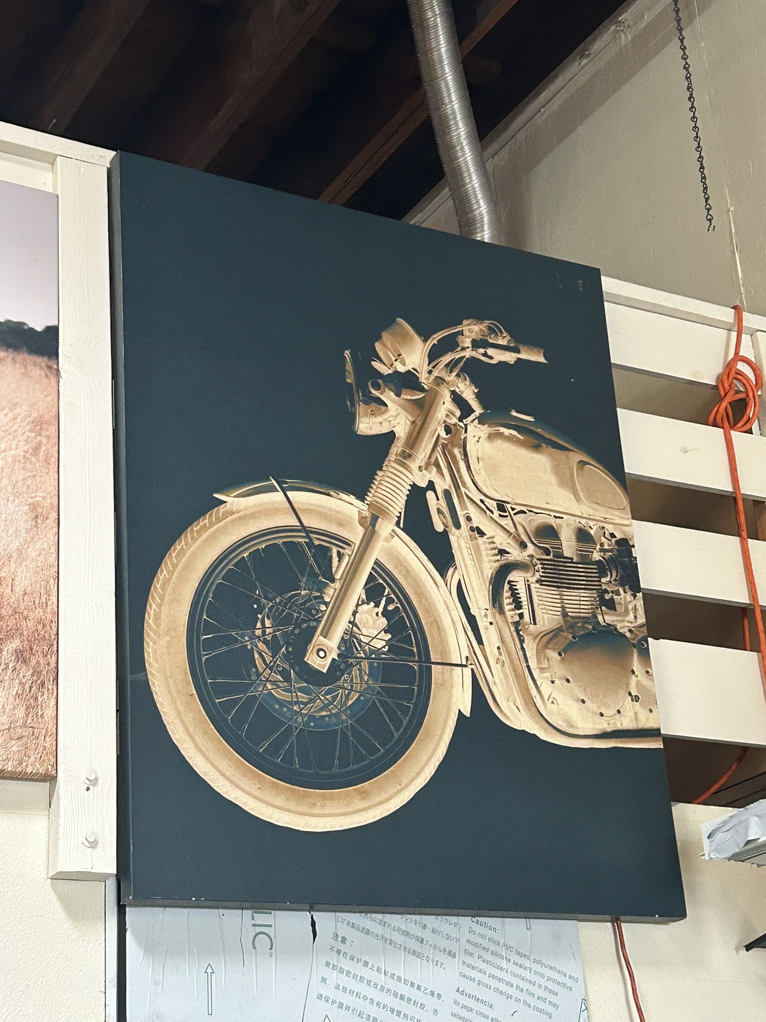 Bike and Elephant paintings!