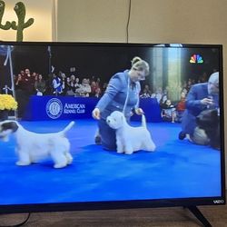 Vizio 39" LED TV + Indoor Antenna – $30