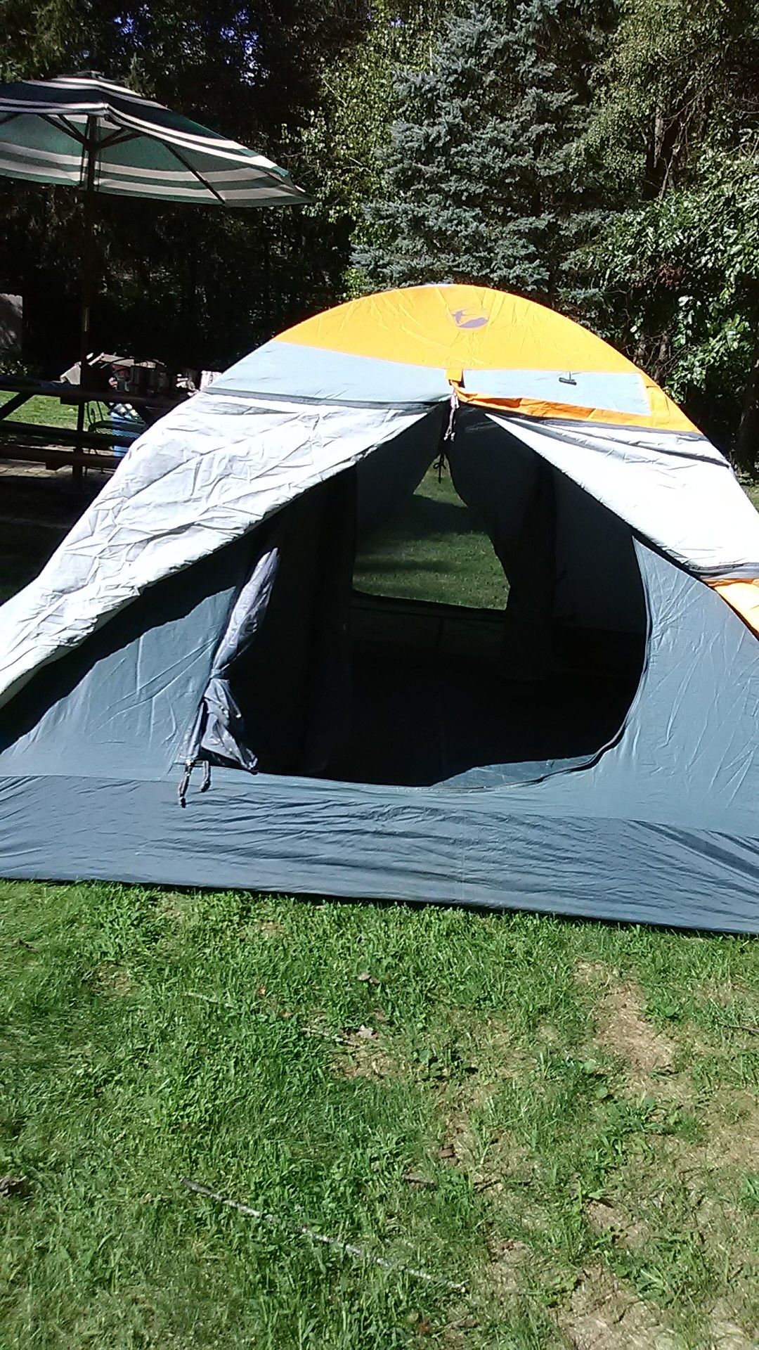 New Gander Mt. Firefly 3 - all weather dome tent.