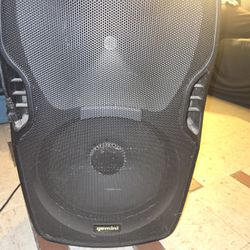 Gemini Speaker...