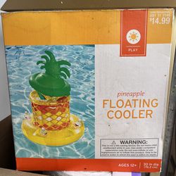 New Pineapple Floating Cooler 