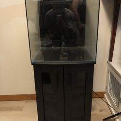 40 Gal Fish Tank 