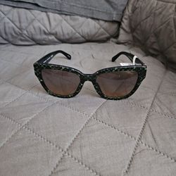 Coach Sun Glasses 