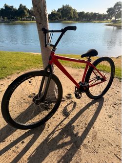 Throne 29er