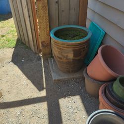 Dragon Pot No Drainage Hole