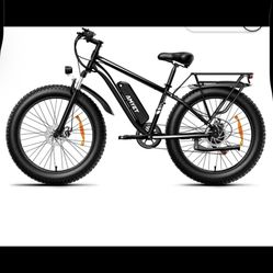 Electric Bike Sale!
