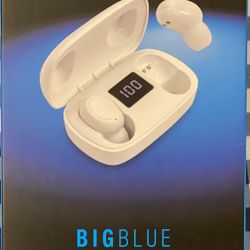 Wireless Earbuds