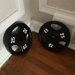 25 Pound Plates