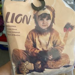 Baby Lion Costume