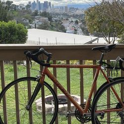 Trek Bike 1000 Sl ( Storage )