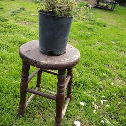 Bent And Brothers Rustic Wooden Stool