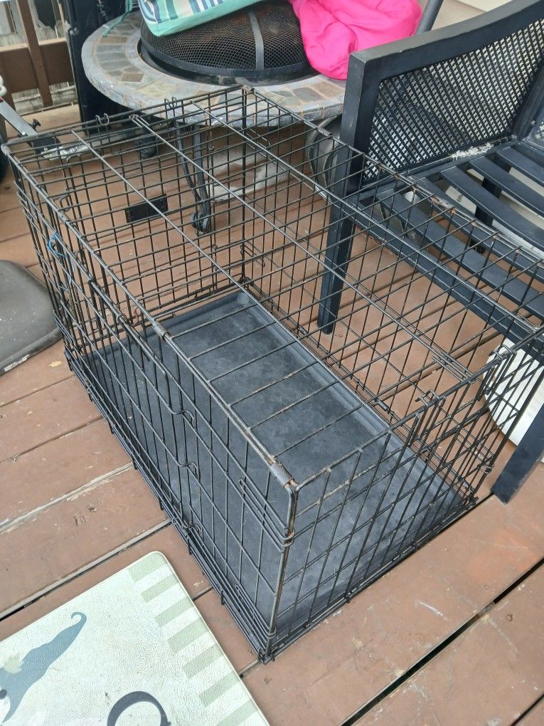 $32 For Medium To Large Dog