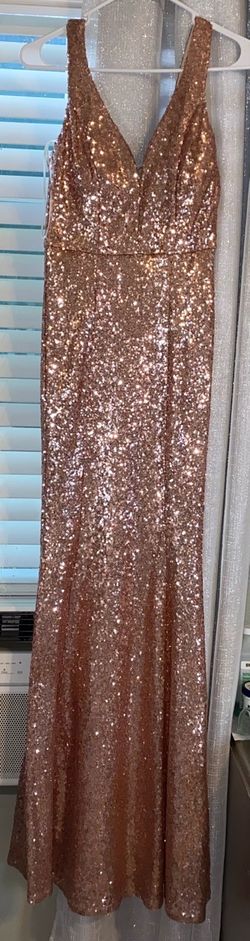 Rose Gold Dress