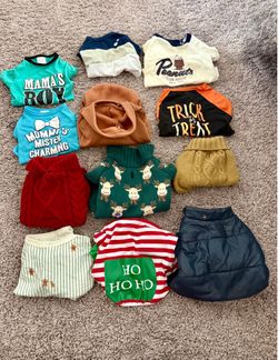 Dog Clothing Bundle – 12 Pieces