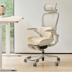 CabLady S2 Petite Ergonomic Office Chair (4'9"-5'11") - Upgraded