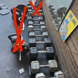 Dumbbells Weights Gym 