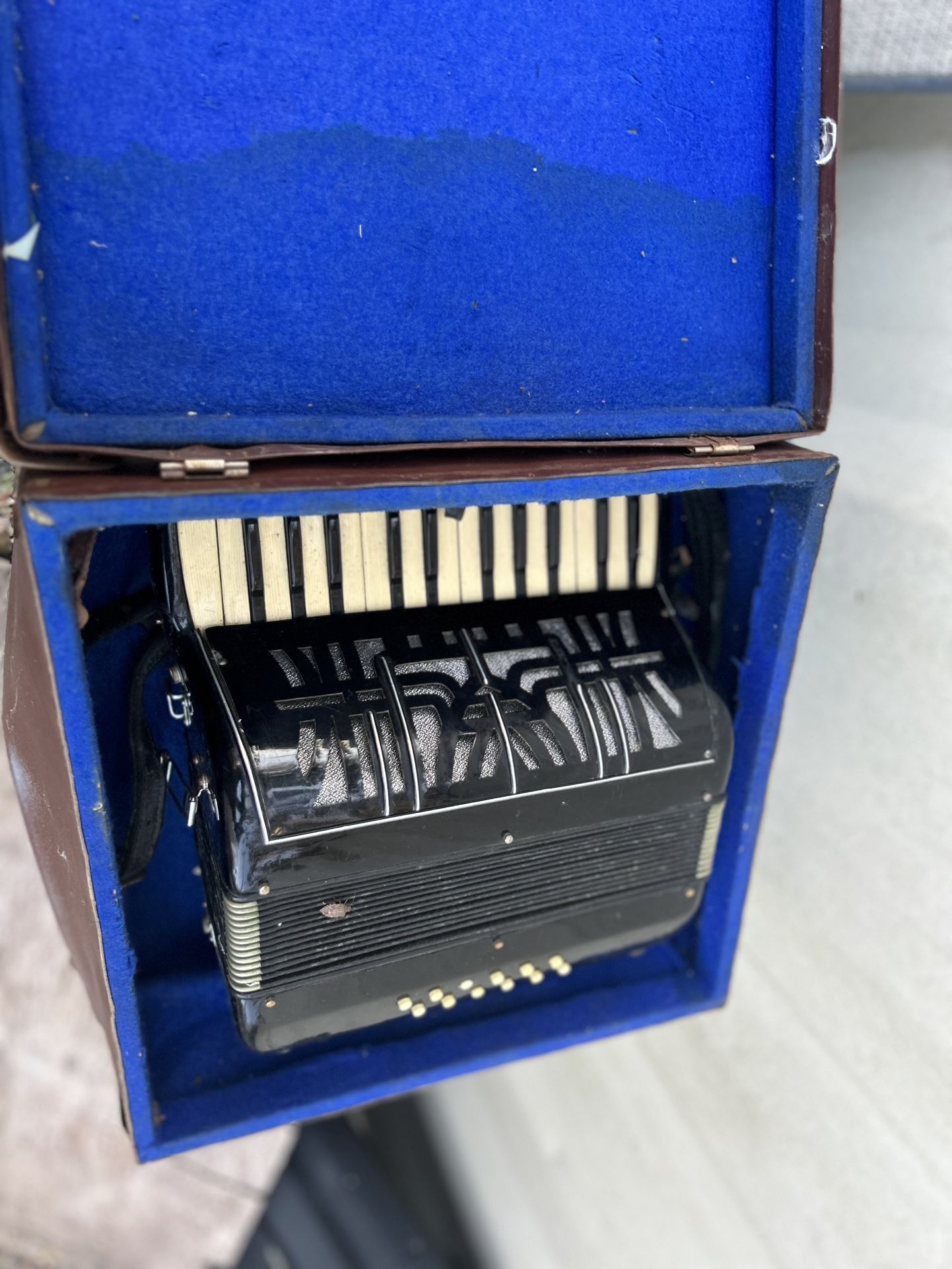 Accordion