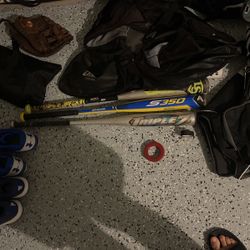Metal Bats 