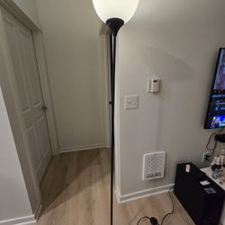 Floor Lamp with Remote Control.