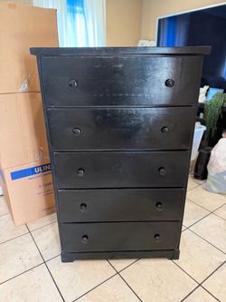Chest